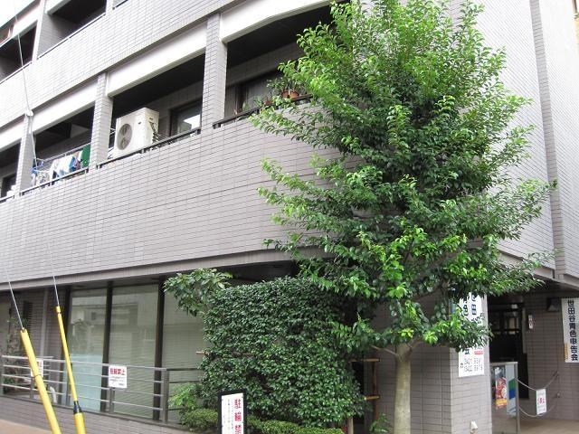 三軒茶屋リリエンハイム