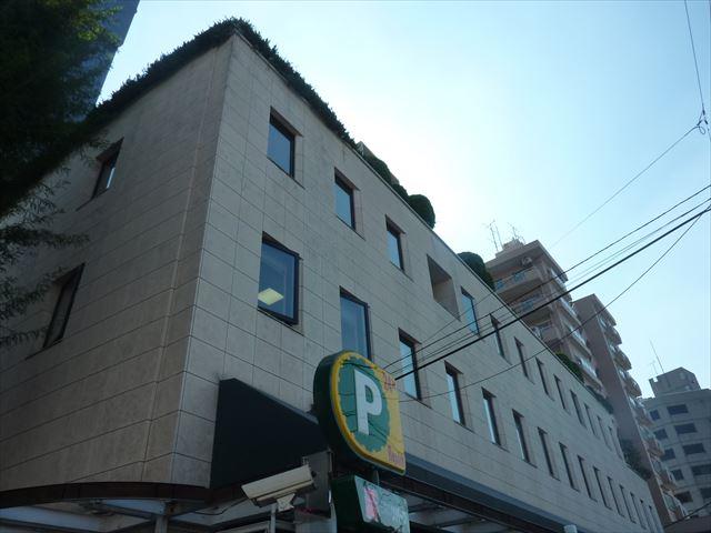 ロックダムコート