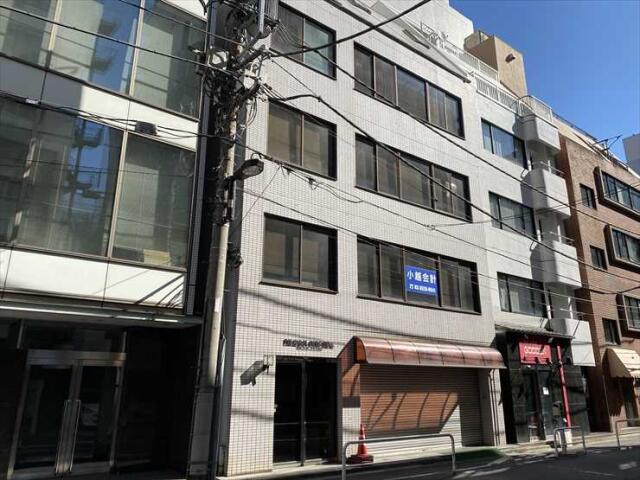 パルウールオオノビル